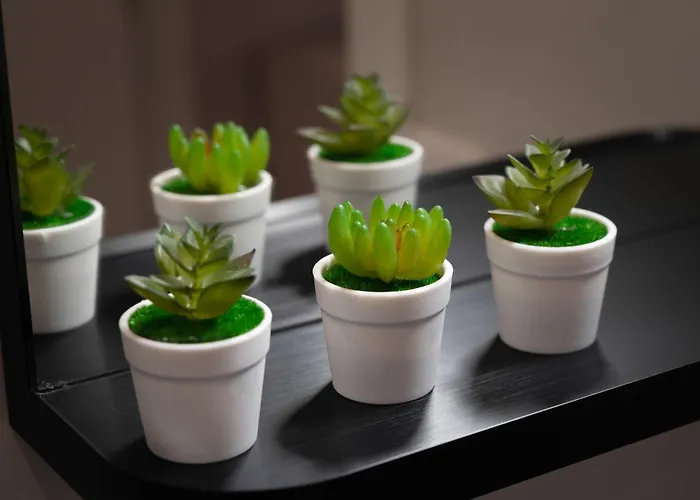 C&p Bolhao Downtown Appartamento Oporto