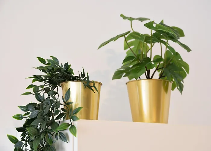 Apartman C&p Bolhao Downtown *