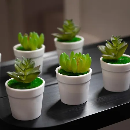 C&p Bolhao Downtown 公寓 波尔图